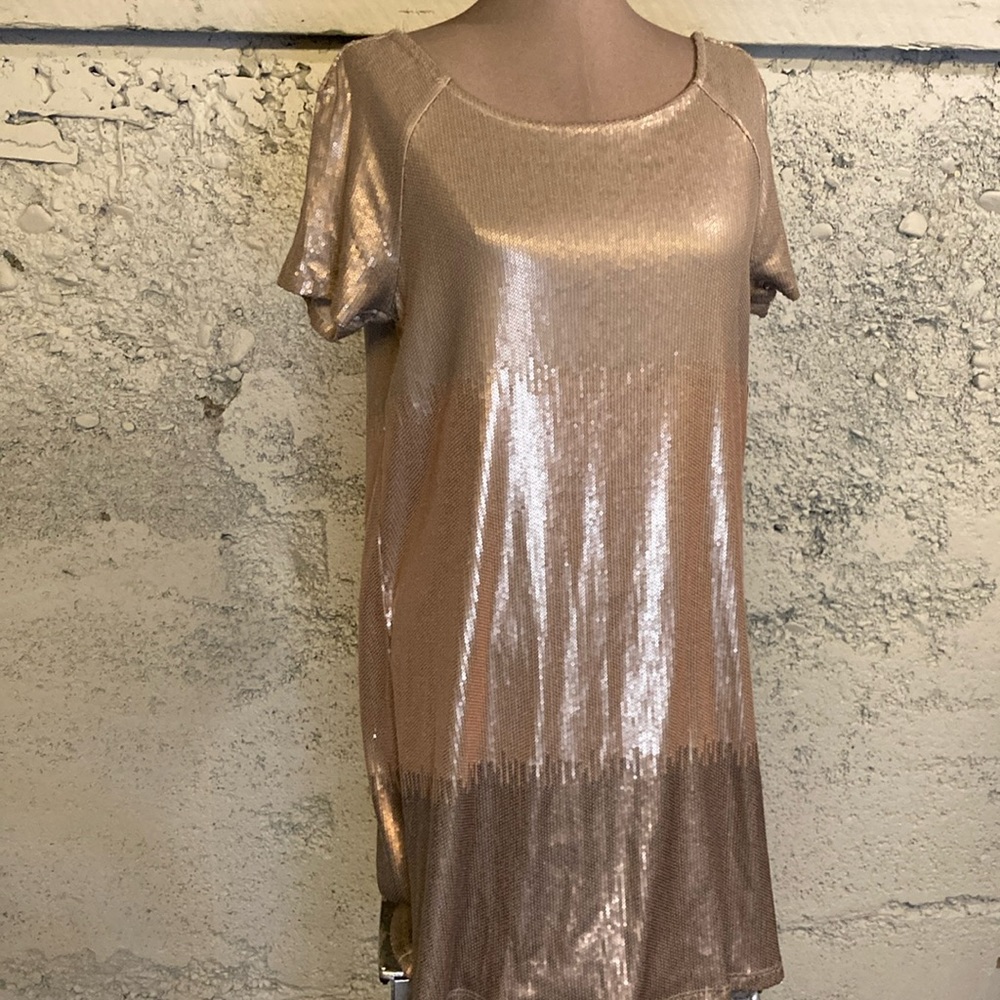 Free People Rose Gold and Gold Sequin Dress Open Back